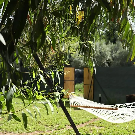 Villa Lafa Fala Bungalow *